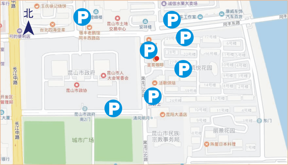 停车方案